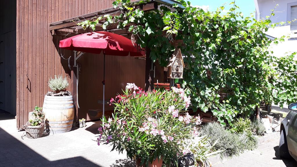 福格茨堡Winzerhof Senn公寓 外观 照片